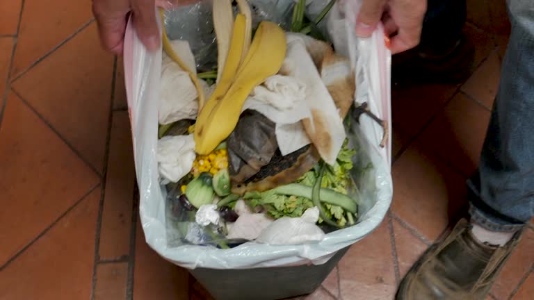 Best Retail Junk Removal  in Wanakah, NY