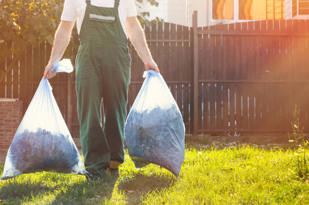 Professional Junk Removal Services in Wanakah, NY
